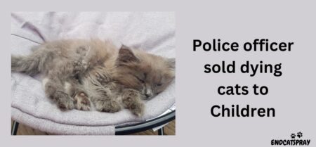 British police officer sold dying cats to children to earn profit.