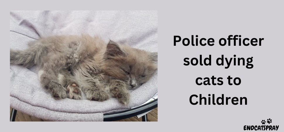 British police officer sold dying cats to children to earn profit