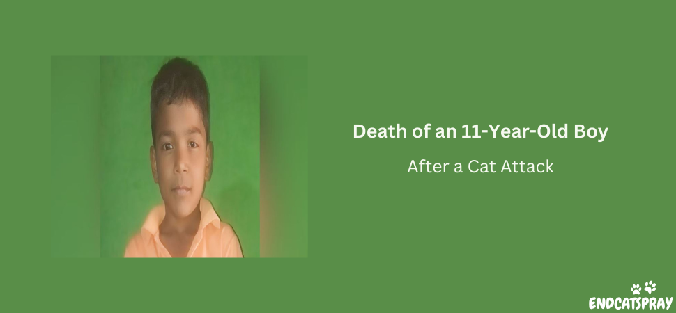 Death of an 11-Year-Old Boy After a Cat Attack