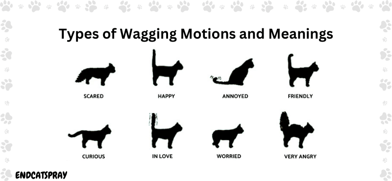 Types of Wagging Motions and Meanings