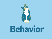 Cats Behavior